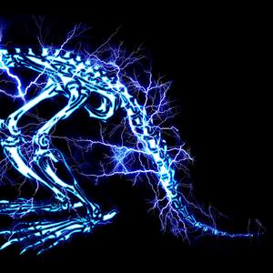 亚洲eV欧美ev天堂
