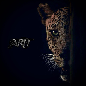 亚洲eV欧美ev天堂
