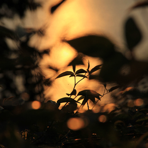 亚洲eV欧美ev天堂
